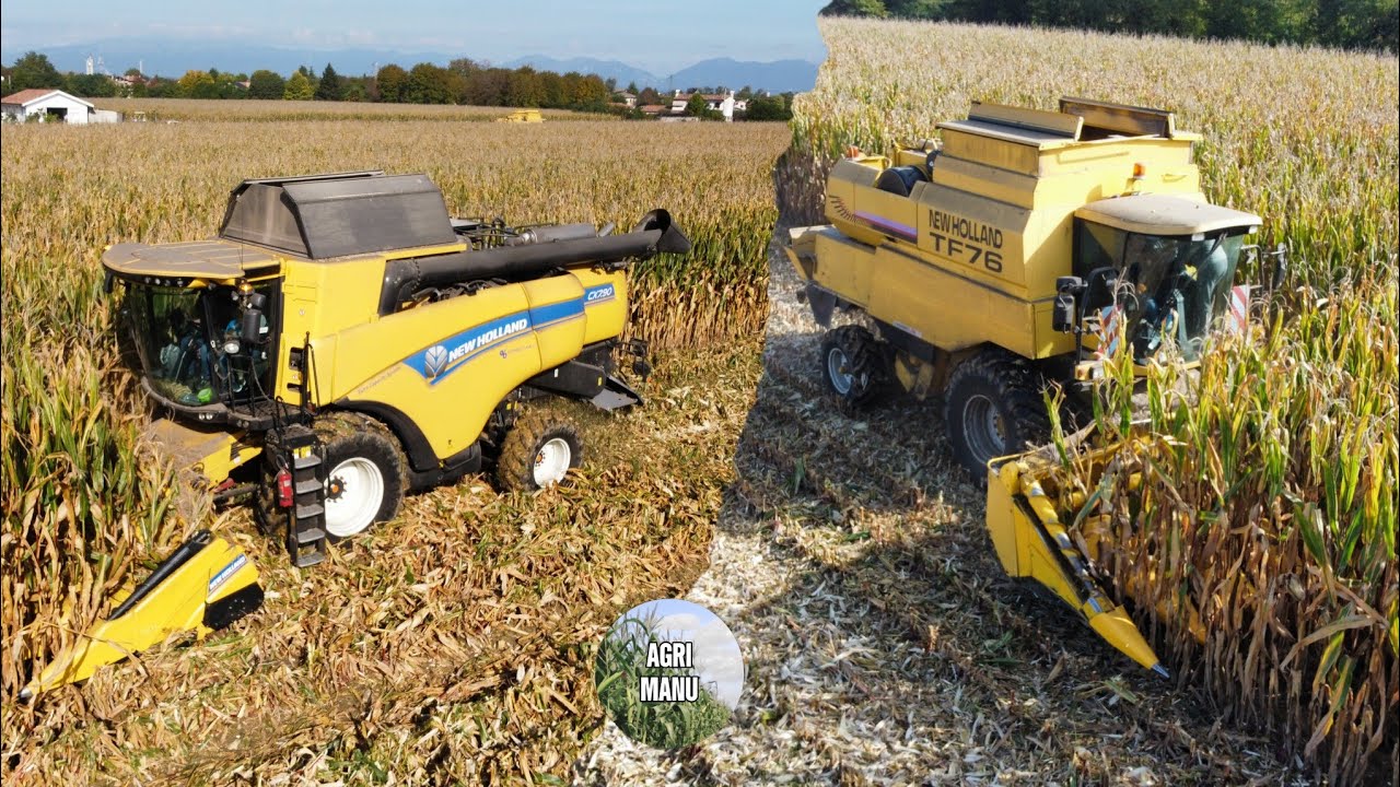 ОБМОЛОТКА КУКУРУЗЫ XXL | NEW HOLLAND TF67 & CX 7.90 | Del Puppo