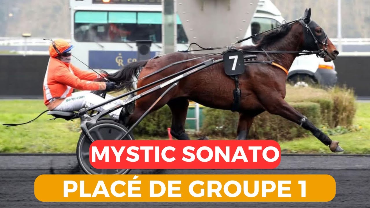 Actu Partz 17 - Mystic Sonato placé de groupe 1 + 1 qualif + ITW de Franck Marty