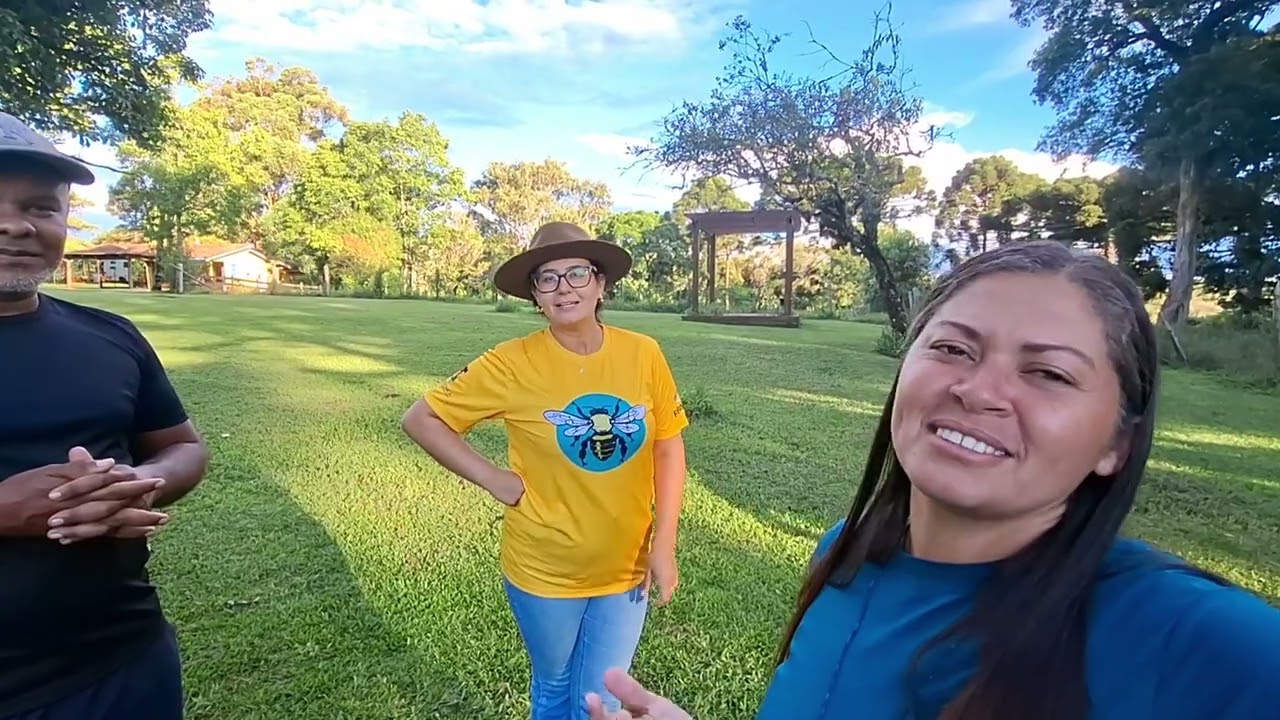 Aprendendo sobre abelhas sem ferrão #motorhome #morarnaestrada #nomades #abelha 