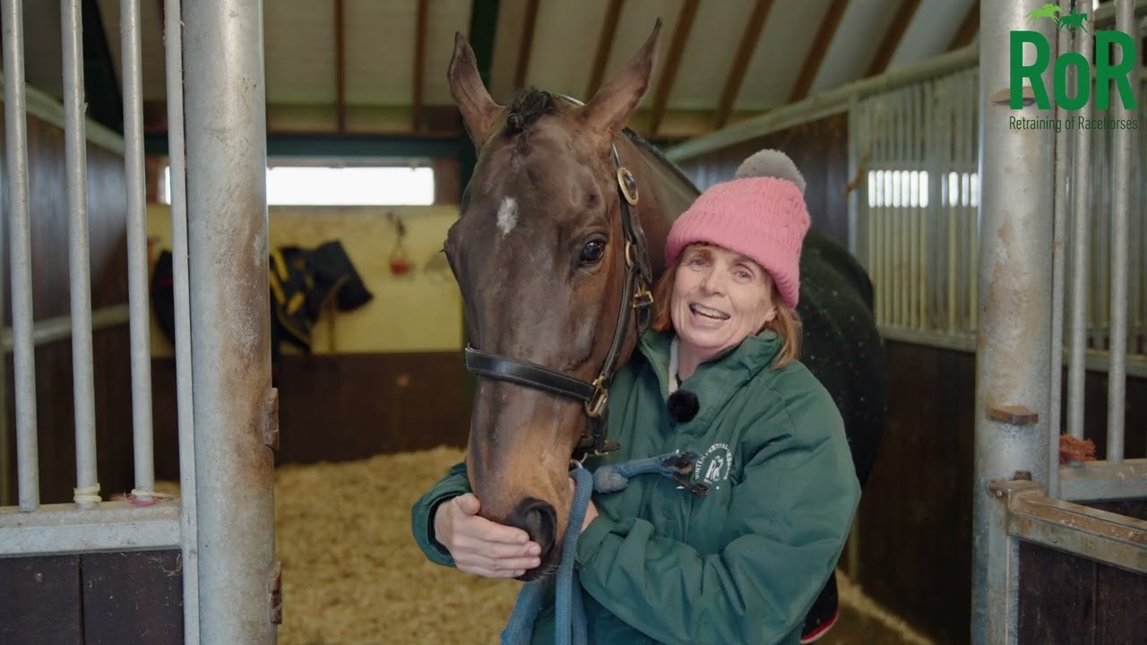 Evron - The Jockey Club RoR Horse of the Year Award 2025 Finalist