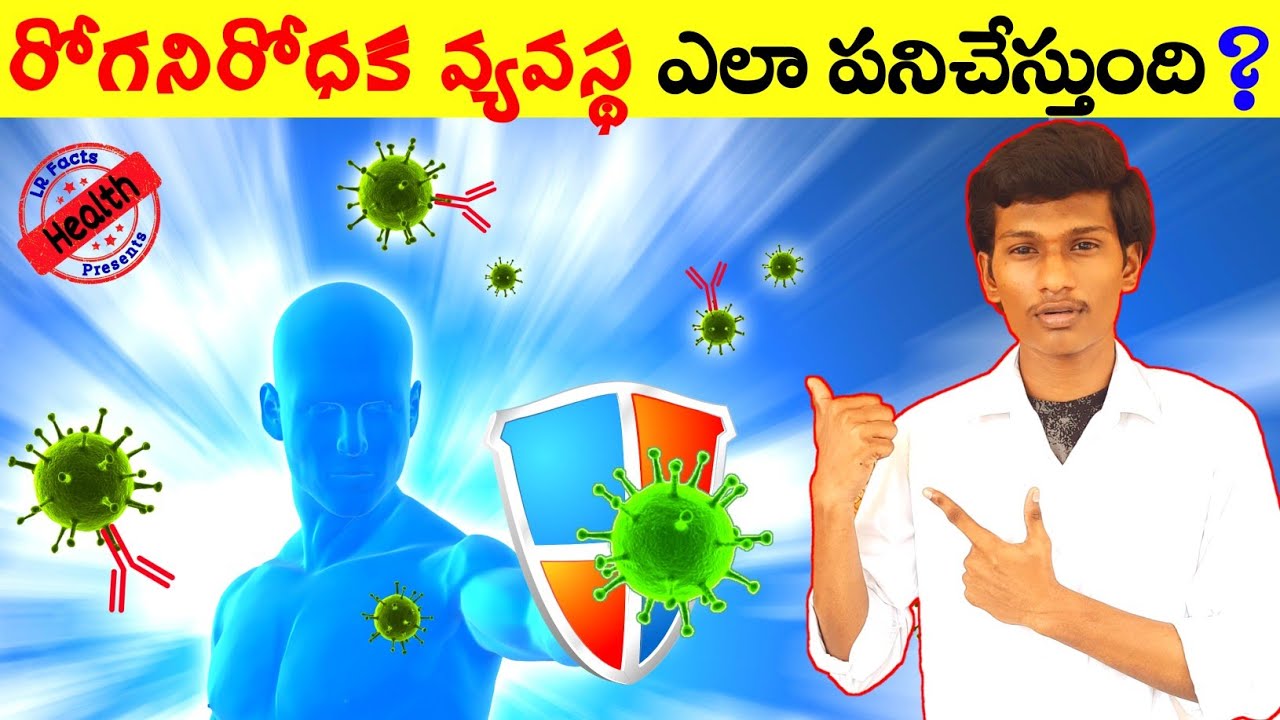 How Our Immune System Works in Telugu | Human body defence | Virus and Bacteria || LR Facts