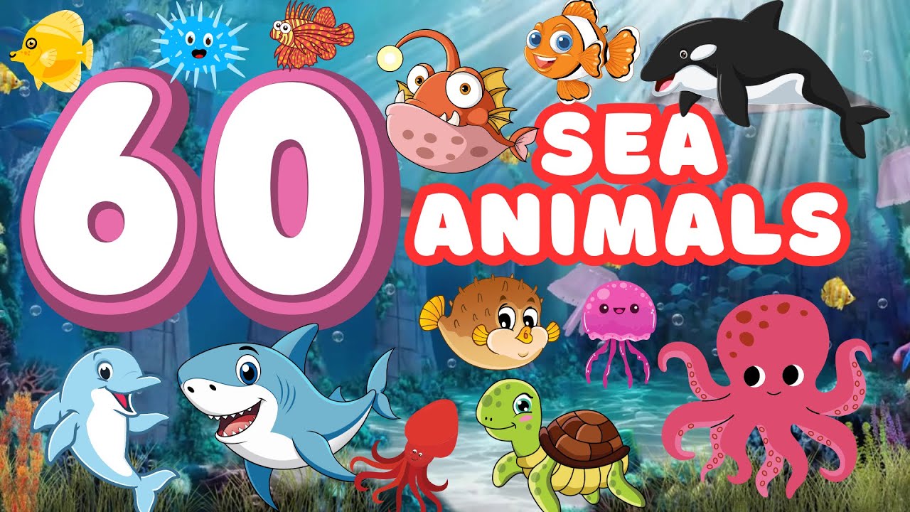 60 Amazing Sea Animals for Kids 🐠 | Names & Fun Ocean Facts!