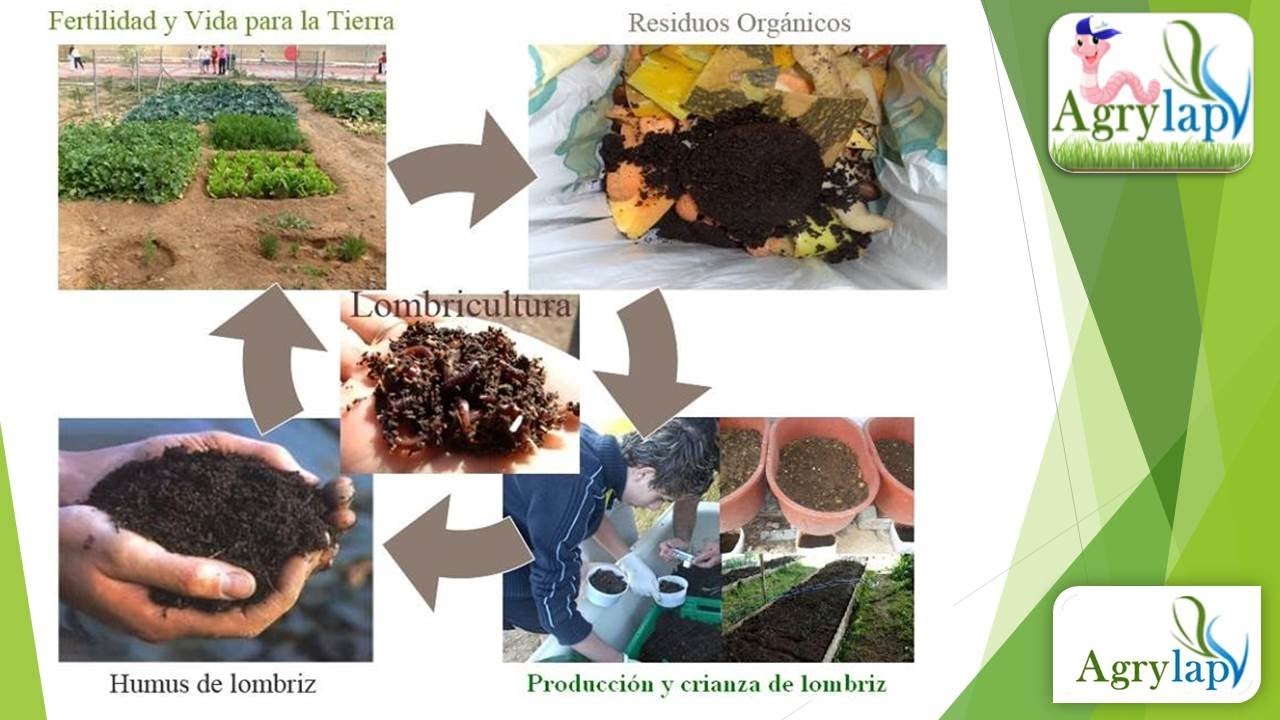 Curso De lombricultura fábrica de humus desde casa con lombriz roja californiana reciclando basura