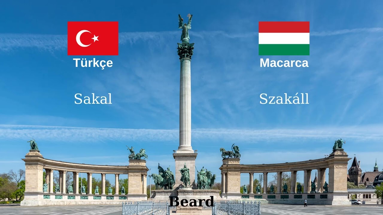 T&uuml;rk&ccedil;e ile Macarca Arasındaki Benzerlikler - Similar Words in Turkish & Hungarian