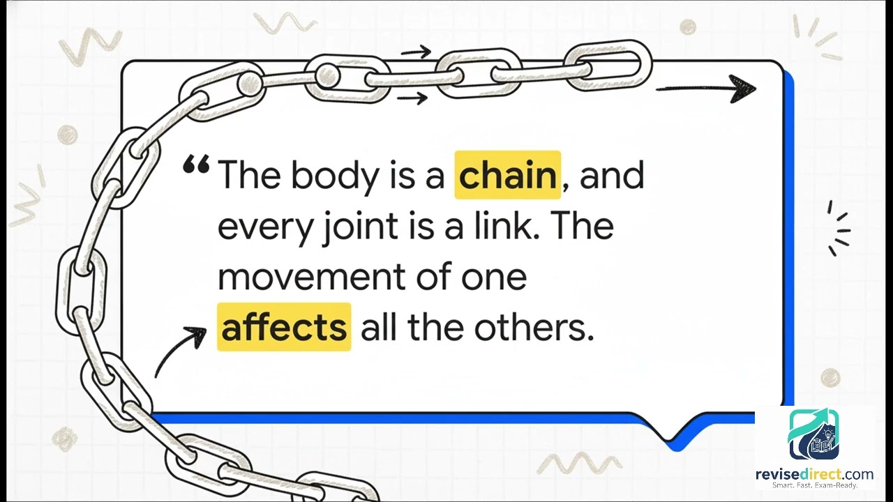 1: Joints, Movements & Muscle Functions | AS Level PE 8386