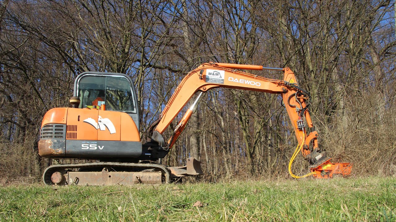 M&M Baggerbetrieb / Landschaftspflege / Daewoo v55 / Woodcracker CL 190