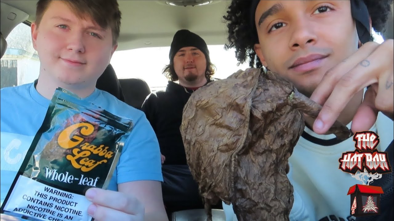 HOTBOXING A GRABBA LEAF/ FRONTO LEAF!!!