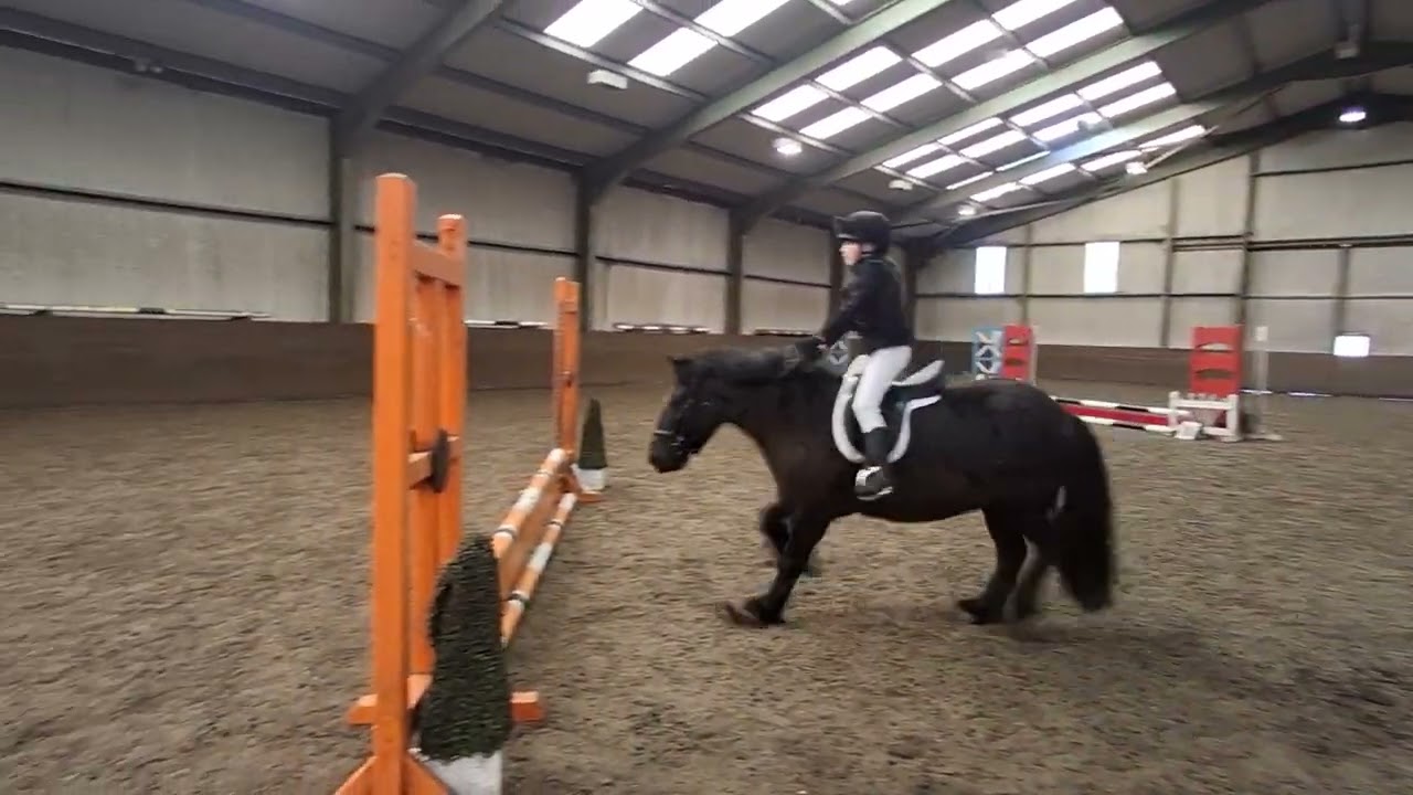 40cm Saoirse and Chocolate Ballinamona 14.03.26