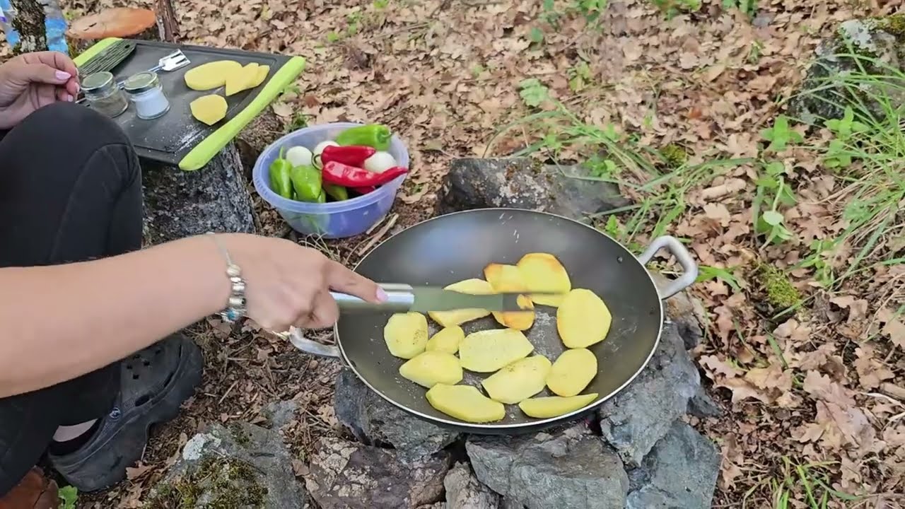 🌶️🫑🥔🧅🥩vegetables in nature