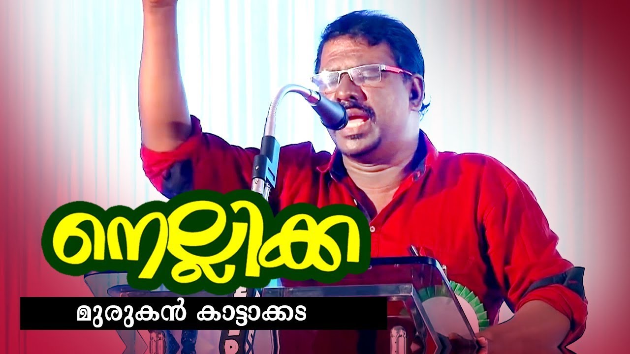 നന്മകൾക്കു നിറം കെടുന്നൊരു... | നെല്ലിക്ക | മുരുകൻ കാട്ടാക്കട | ദൃശ്യാവിഷ്‌കാരം
