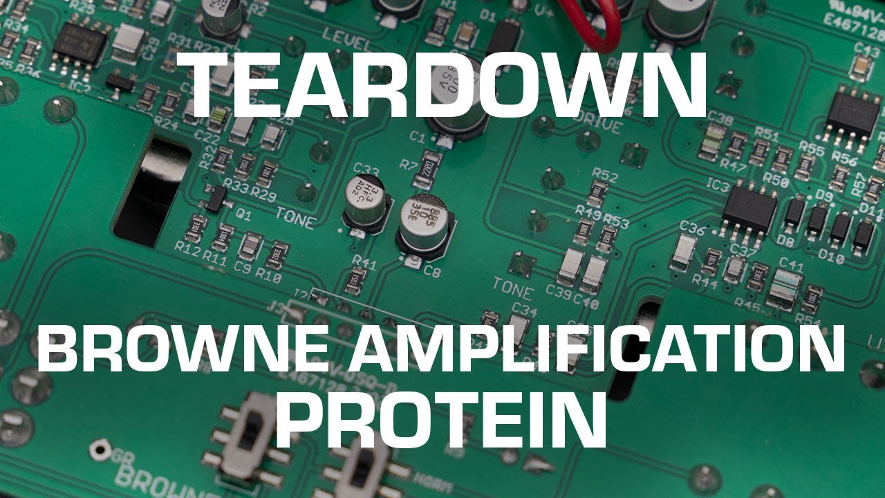Browne Amplification Protein Teardown! See what's inside!
