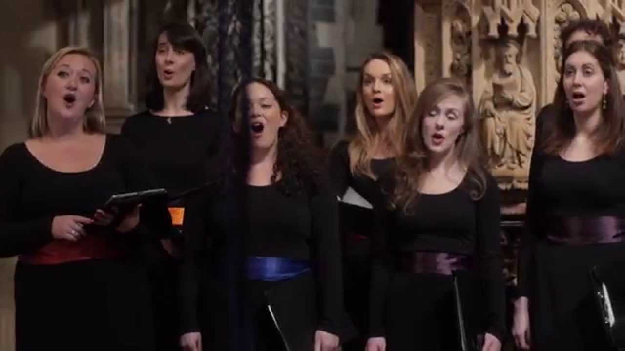 New Dublin Voices - 
