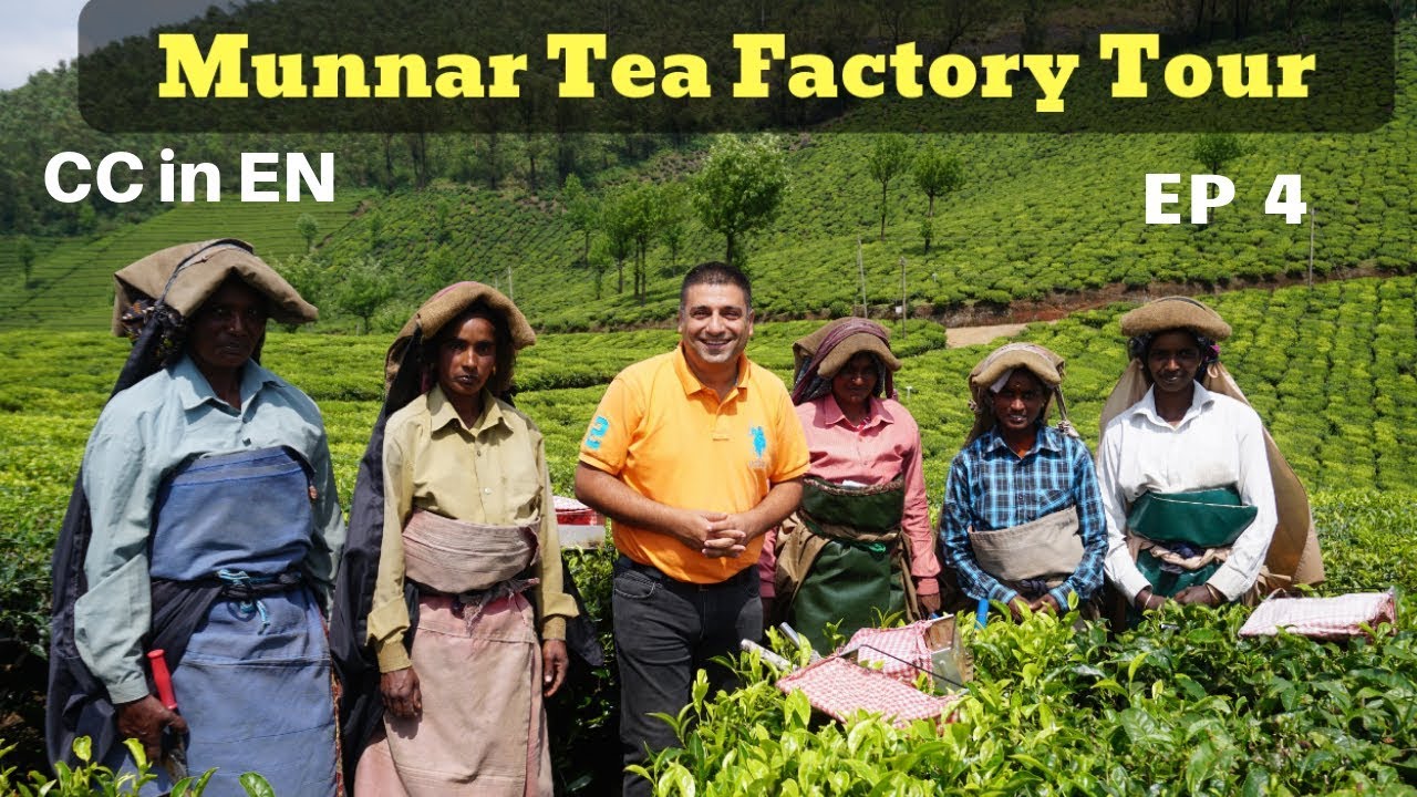 Munnar Tea Factory visit EP 4 | A to Z of Tea Orthodox Method