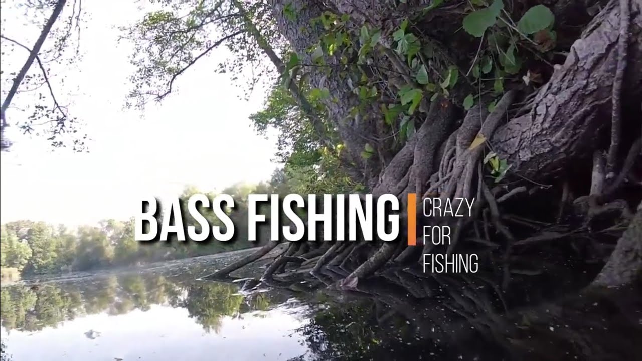 Italian BASS FISHING ( how to catch bass with texas Rig)