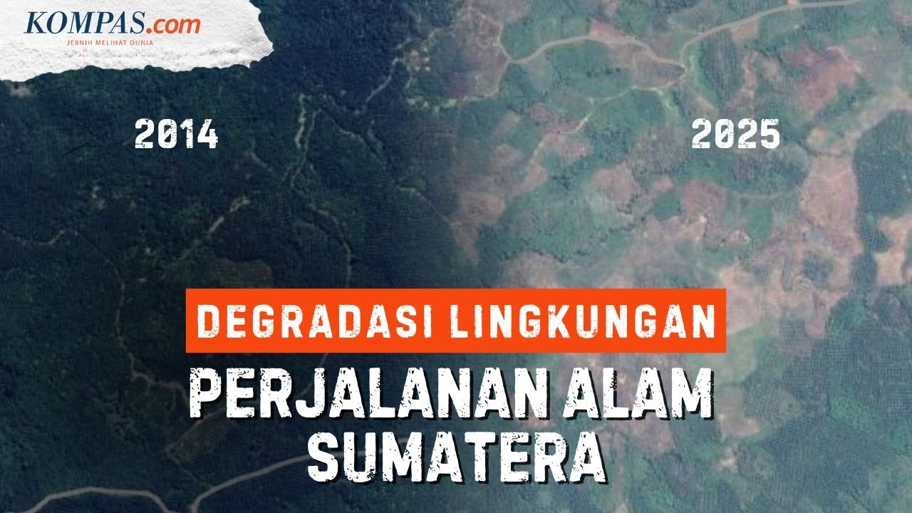 Penampakan Area Hijau di Sumatera dari Tahun ke Tahun Sebelum Banjir