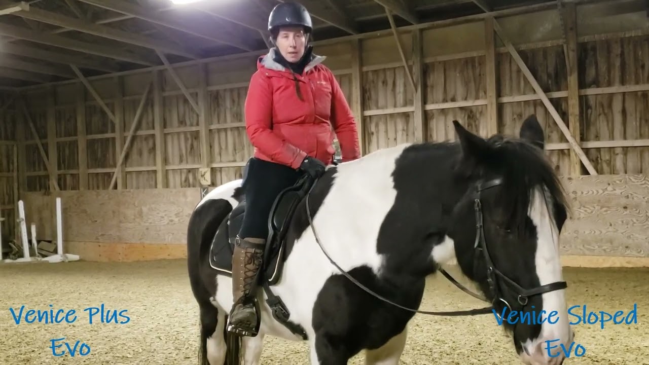 Tech Venice Evo stirrup review and comparison