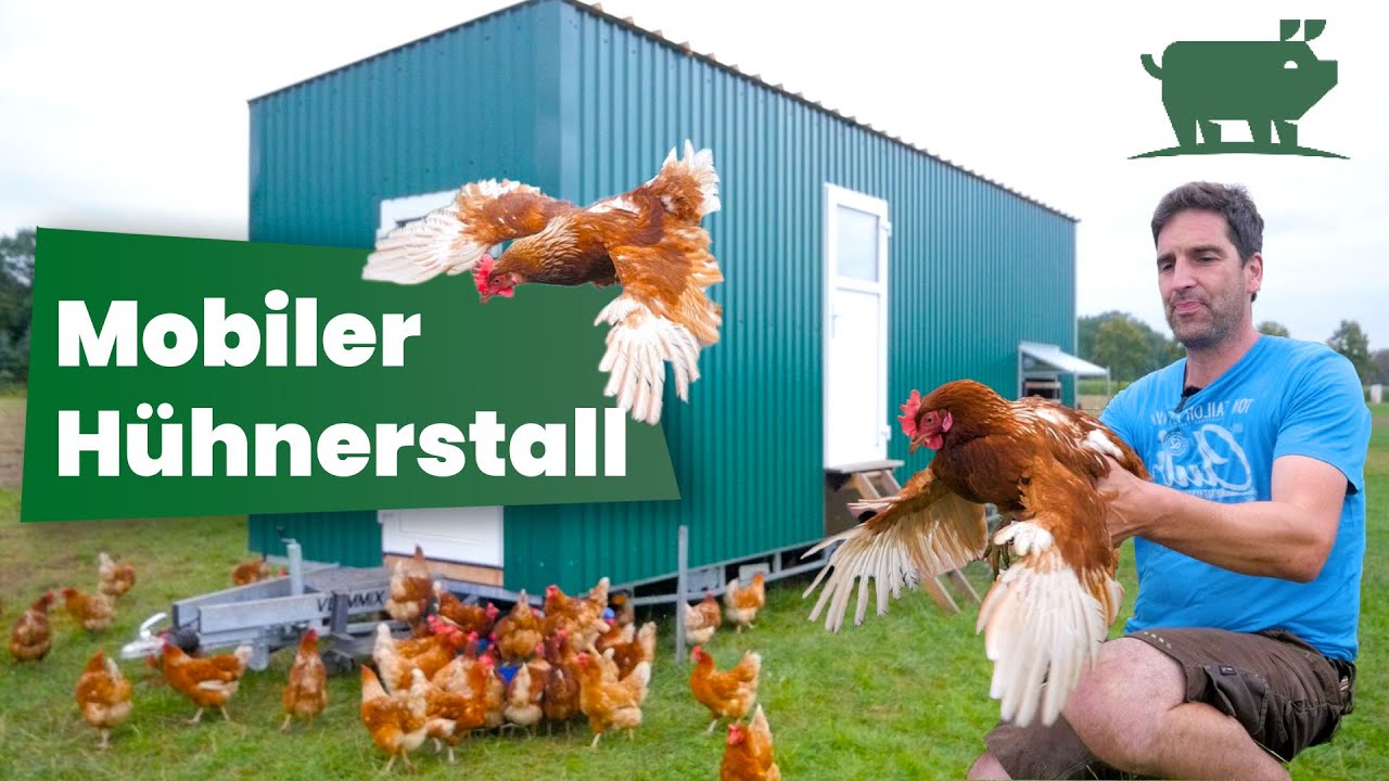 Unser selbstgebautes Hühnermobil