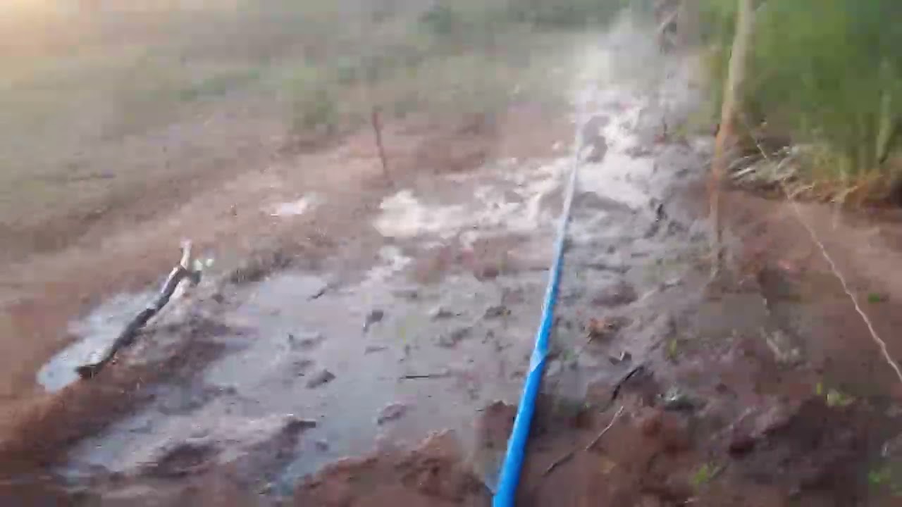 Aprenda fazer irrigação com um parafuso e um cano pó grávidade