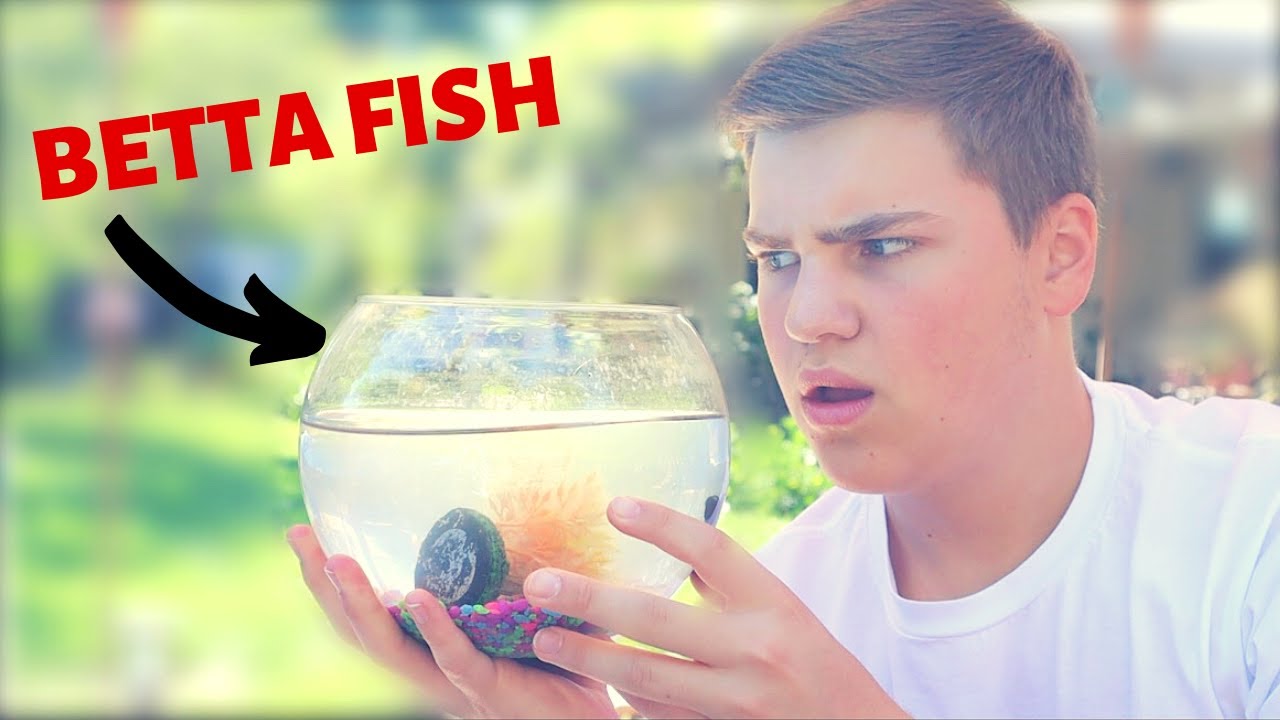 *RESCUING A BETTA* FISH FROM *CRAIGSLIST*