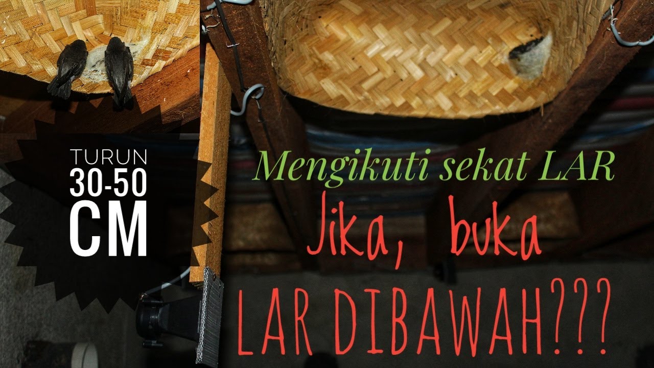 Penempatan Tweeter Tarik Gantung RBW yang benar