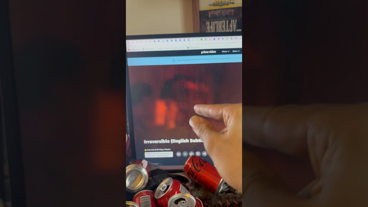 POV: you’re watching Irreversible (2002) with a “friend”