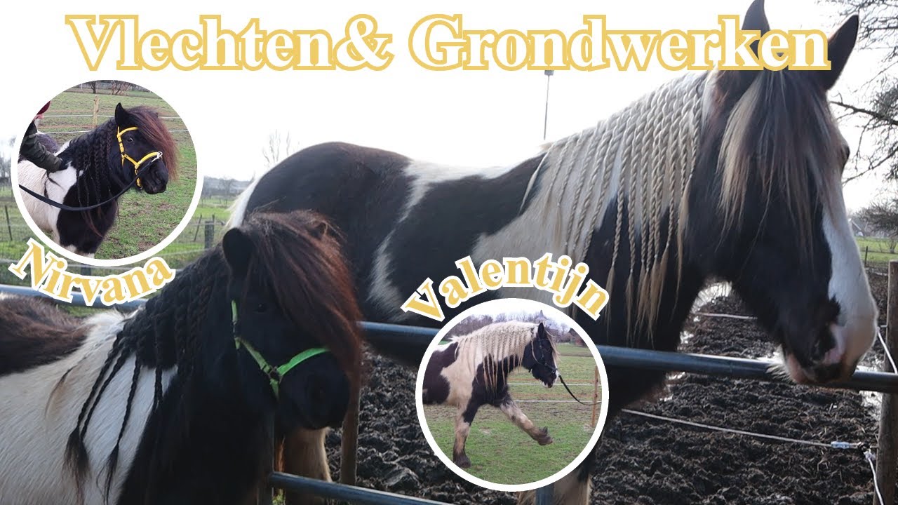 Voor het eerst GRONDWERKEN met onze SHETLANDER & VLECHTEN maken | Vlog #45 | Dwally's Horses