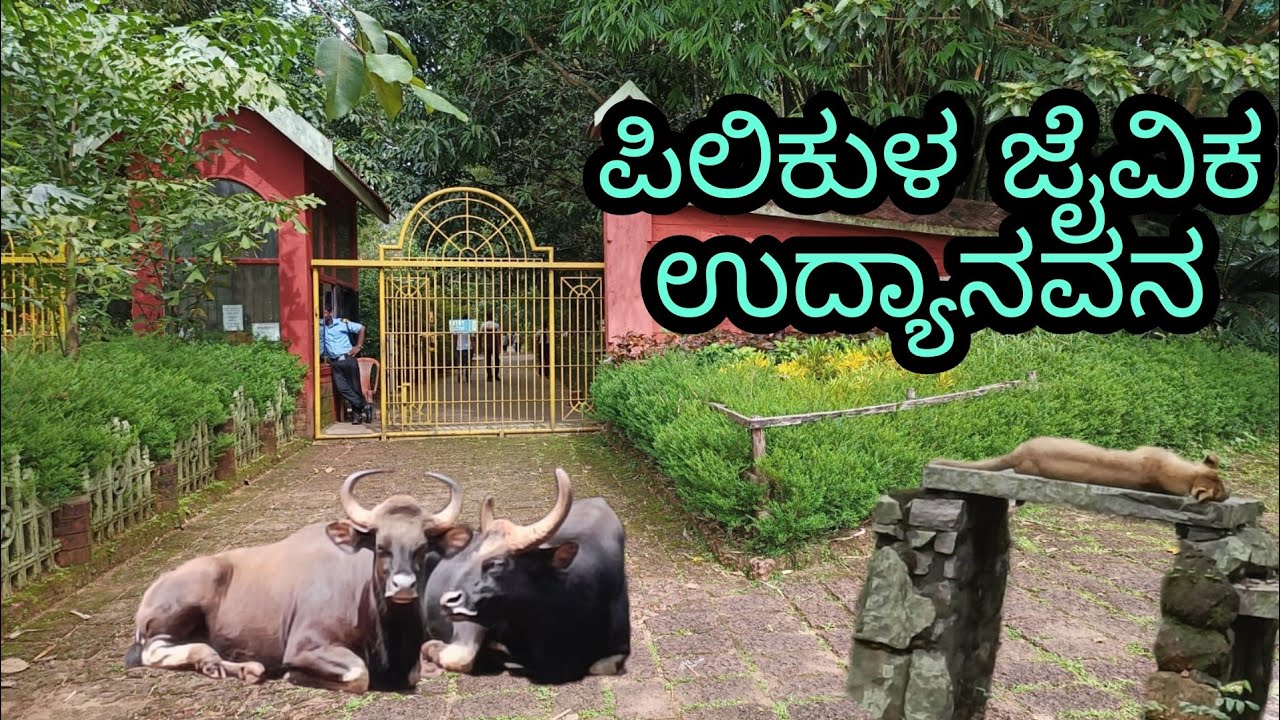 ಪಿಲಿಕುಳ ಮೃಗಾಲಯ | Pilikula Zoo | Mangalore | Tourist Place | Kannada Vlog
