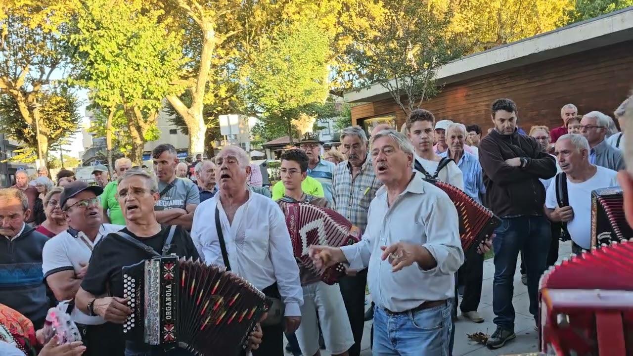 DOMINGO À TARDE CONCERTINAS EM VILA VERDE.