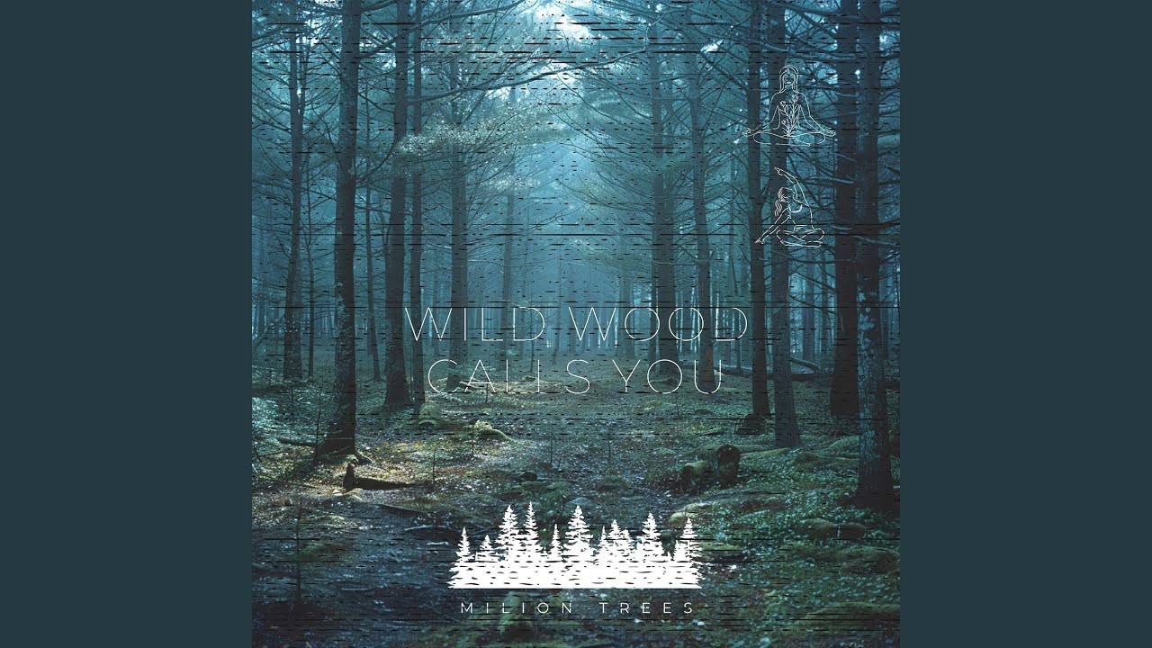 Wild Wood Calls You