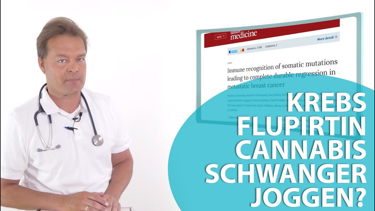 Das Immunsystem: St&auml;rker als der Krebs!
