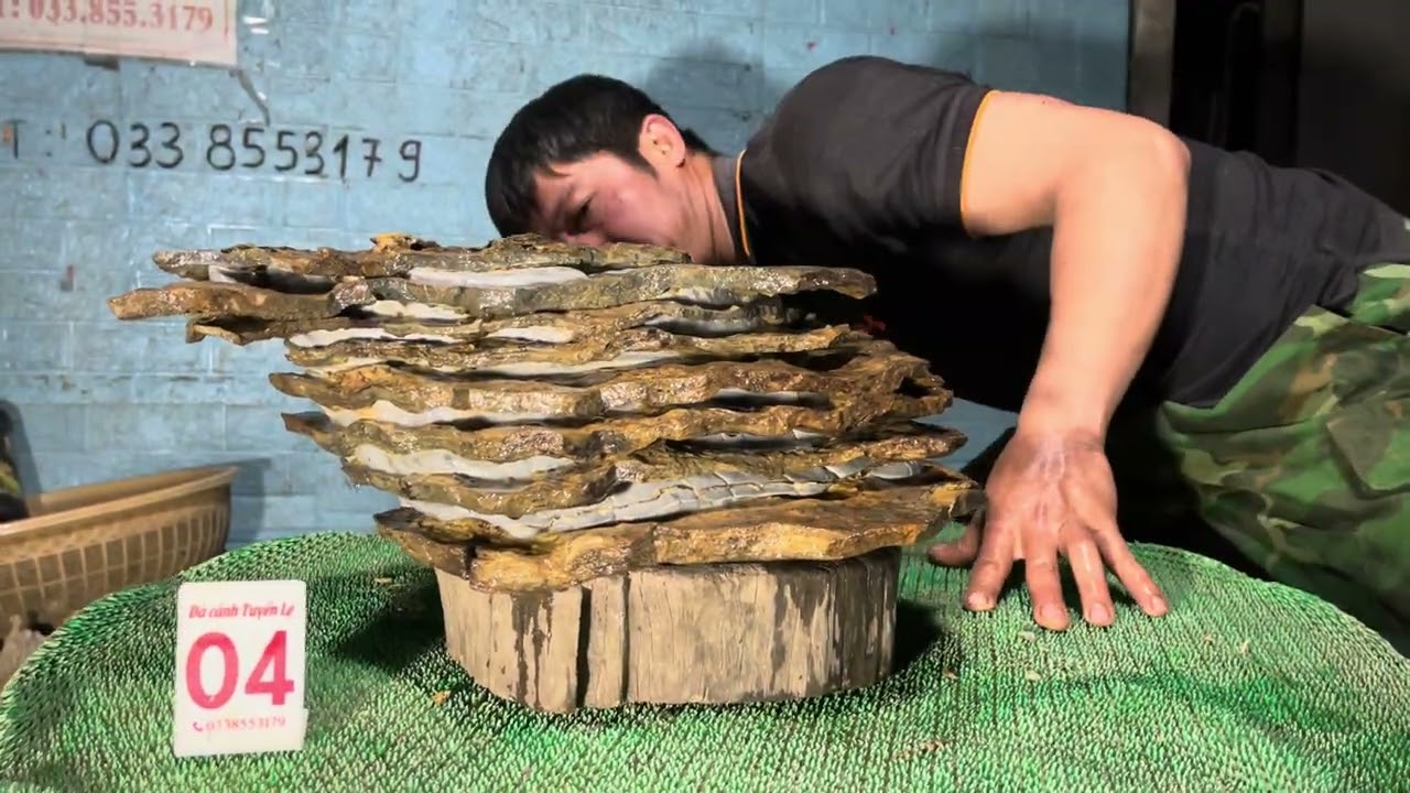 10/1/26 Đá trầm tích ,lớp gỗ hoá thạch