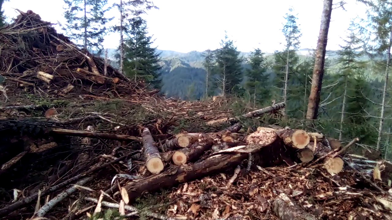 turn of the day
