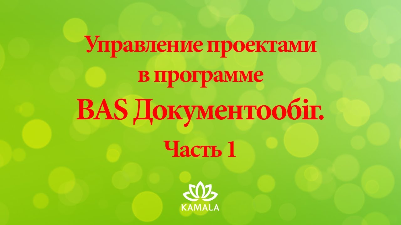 Управление проектами в BAS Документообіг. Обзор интерфейса и возможностей