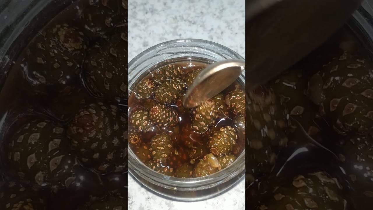 ШИШКИНО ВАРЕНЬЕ ИЗ ШИШЕК ЁЛКИ 🎄🍯
