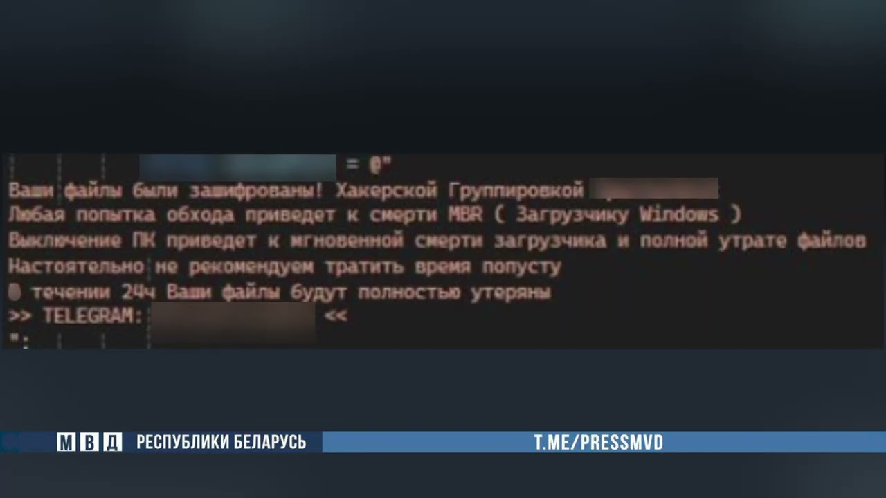 Подросток из Пинска разработал троян-вымогатель