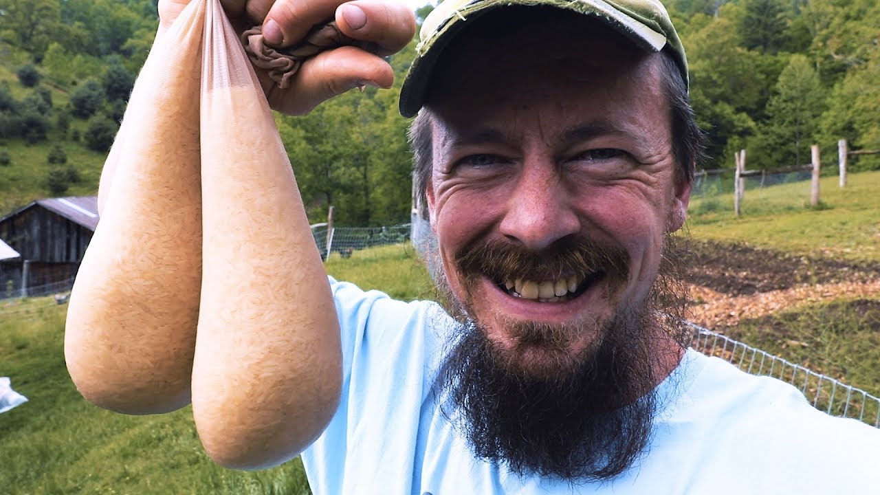 Wild Harvesting Mycorrhizal Fungi Using THESE?