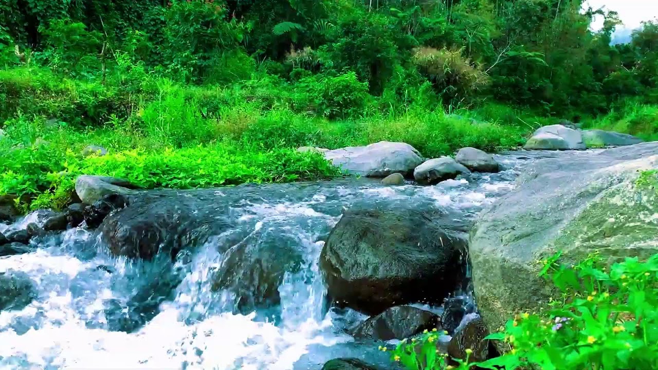 Flowing Water White Noise for Meditation, All Night Sleep