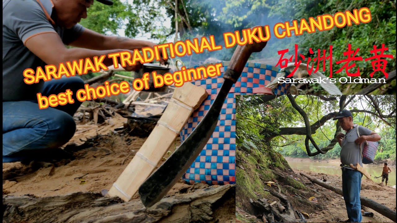 SARAWAK TRADITIONAL DUKU CHANDONG. BEST CHOICE OF BEGINNER.