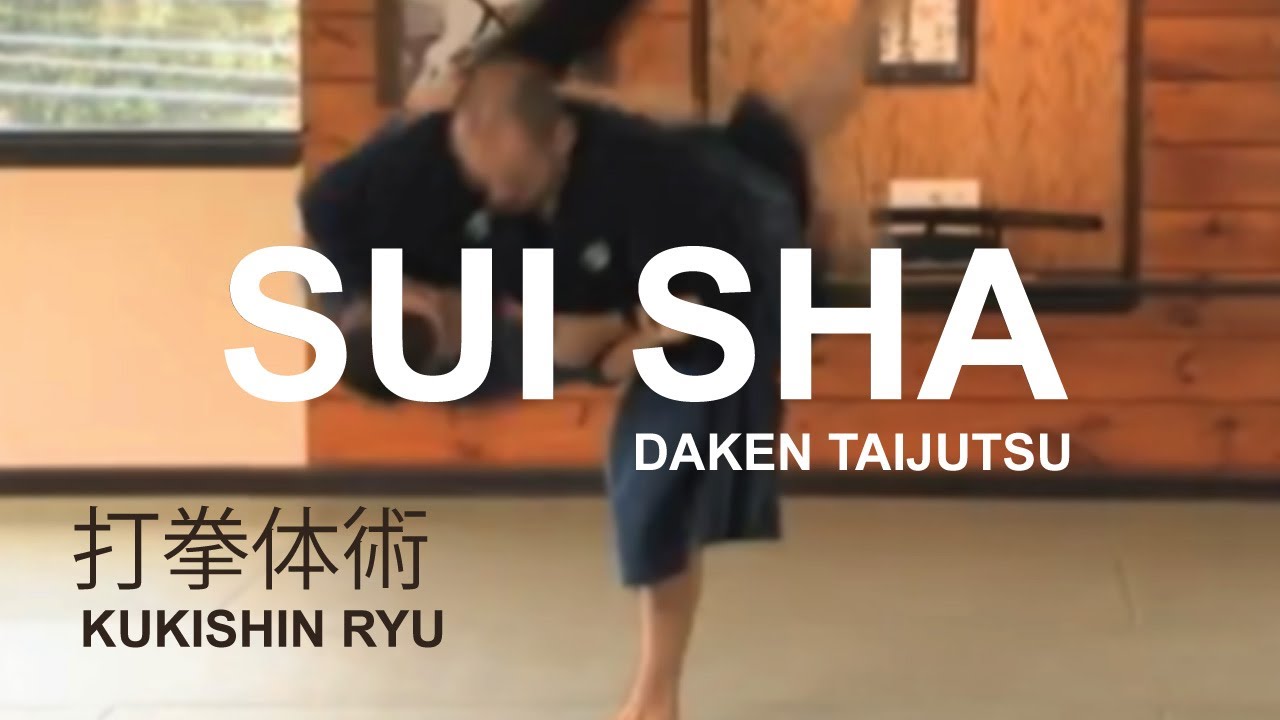Taijutsu: Suisha 水翼 Shoden no Kata of the Kukishin Ryu Dakentaijutsu