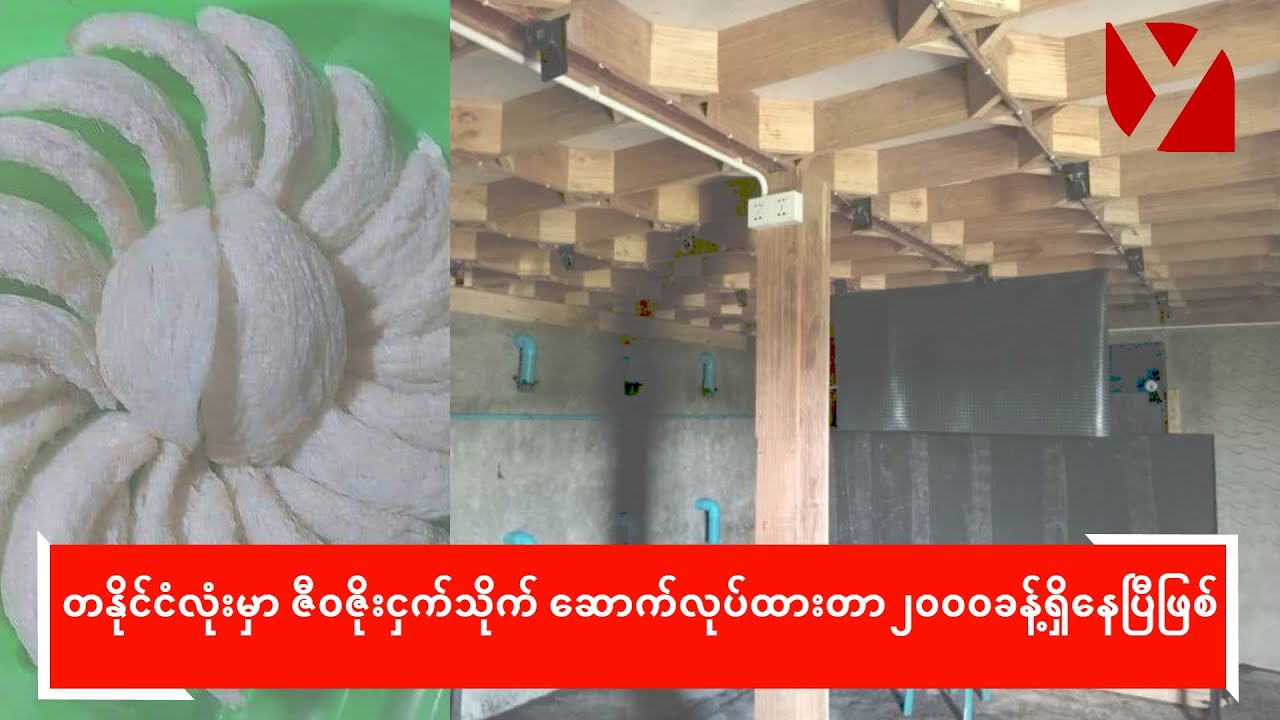 တနိုင်ငံလုံးမှာ ဇီဝဇိုးငှက်သိုက် ဆောက်လုပ်ထားတာ ၂၀၀၀ခန့်ရှိနေပြီဖြစ်