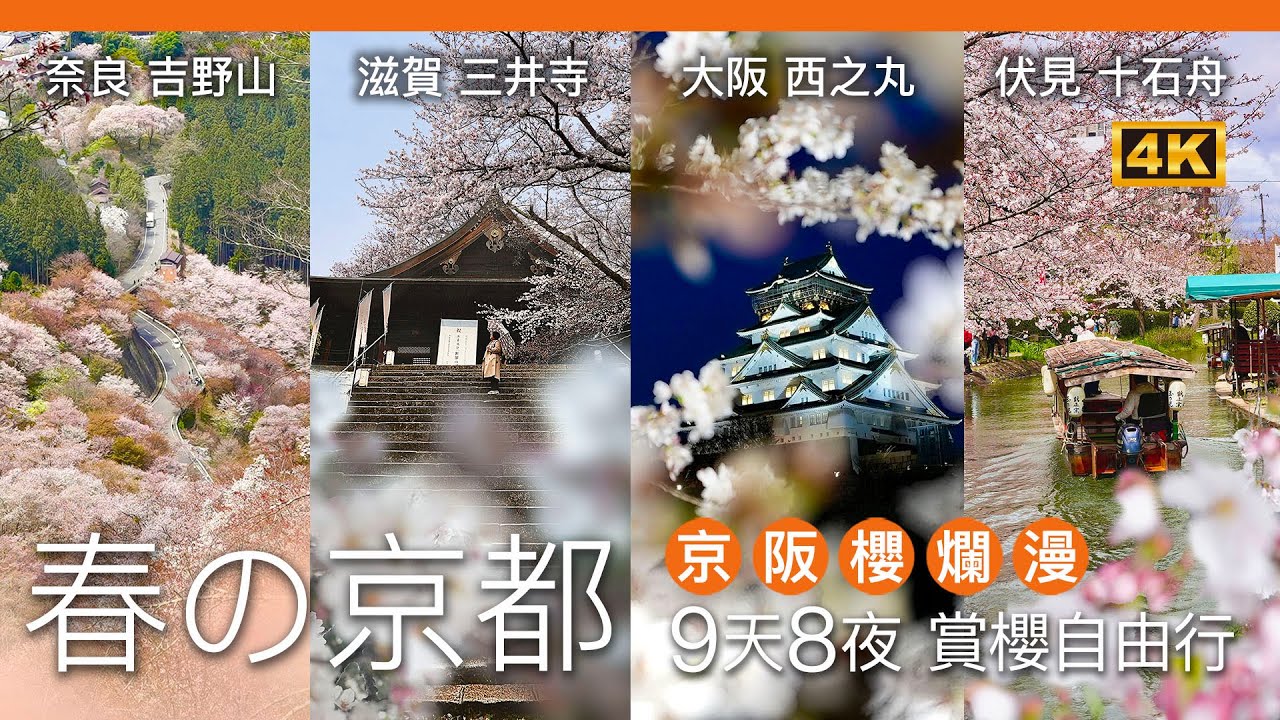 春之京都 9天8夜 賞櫻自由行！ 京阪櫻爛漫 / 日本賞櫻首選京都大阪地區