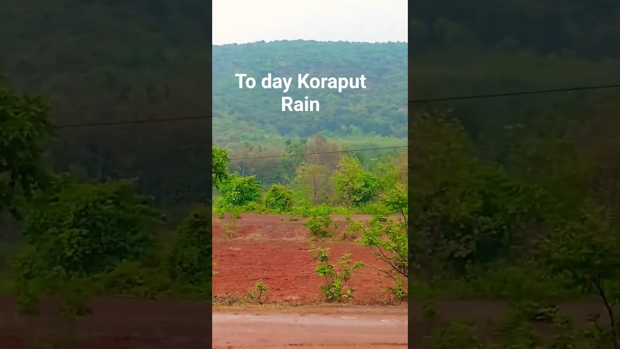 To day Rain Koraput #rain