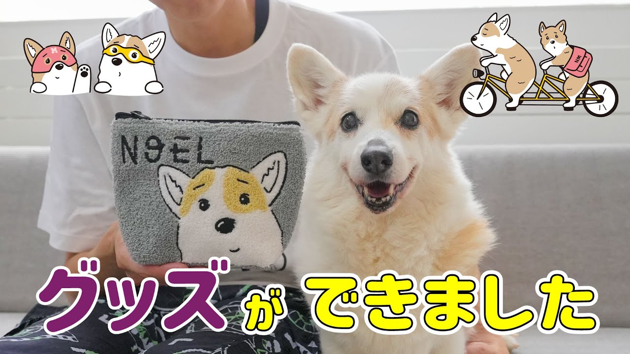 【お知らせ】可愛いコーギーグッズが出来ました！