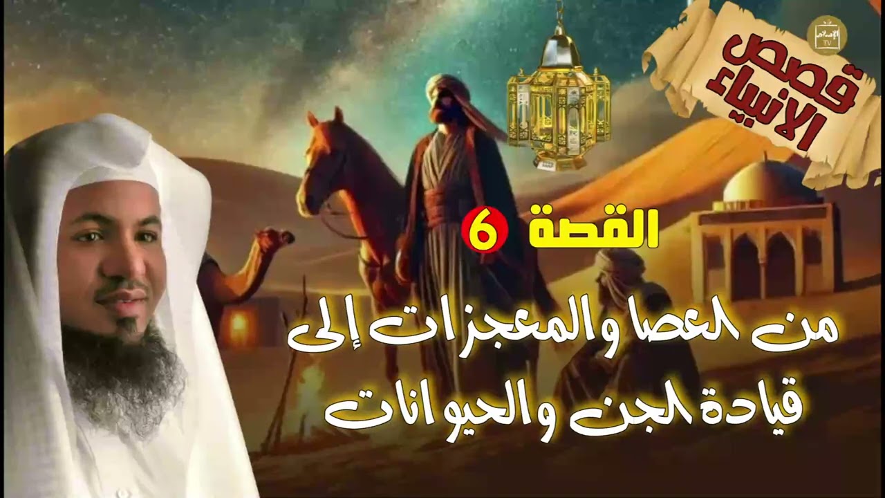 هل تعلمون كيف مات #سليمان عليه السلام؟ اسمعوا هذه القصة #محمد_الشنقيطي #قصة_الأنبياء