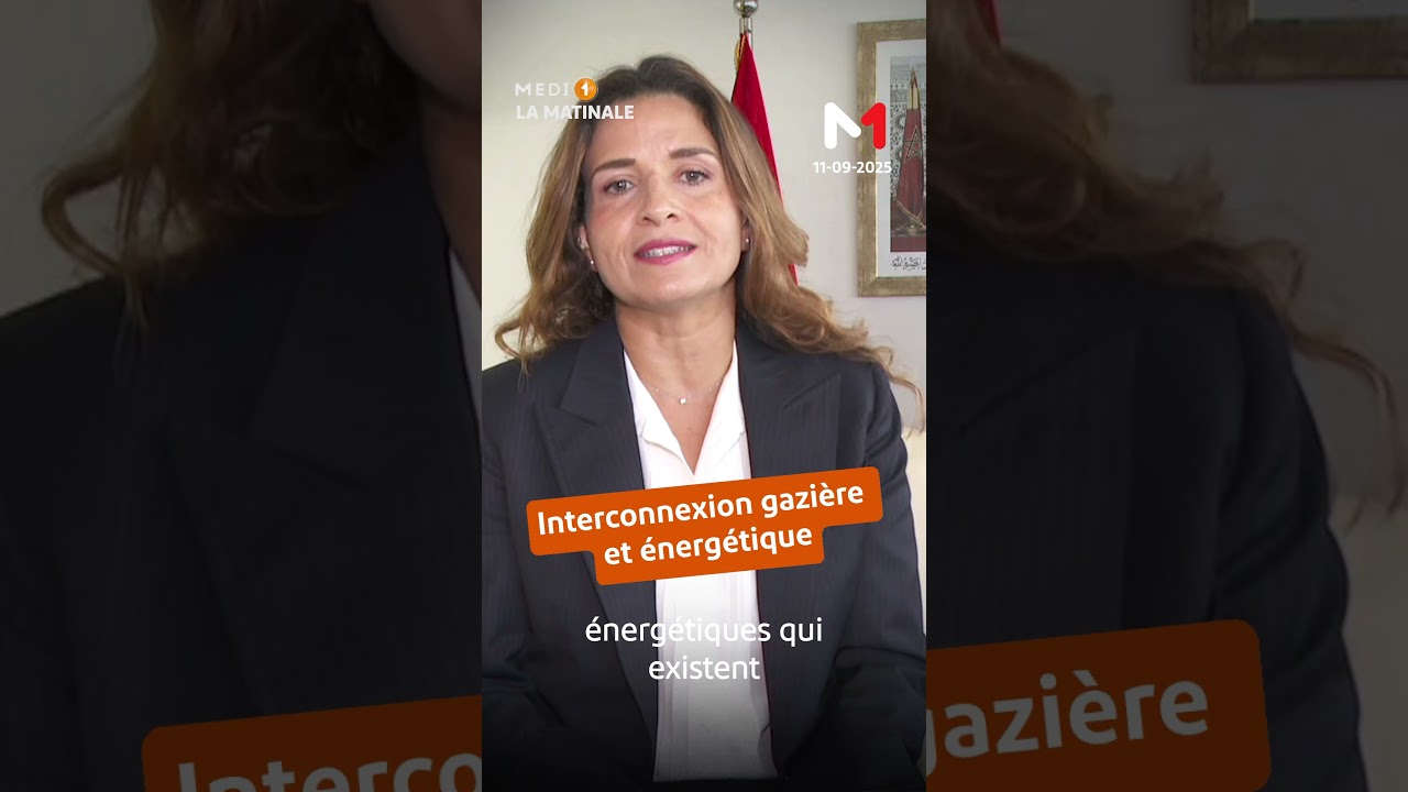 Interconnexion &eacute;lectrique et &eacute;nerg&eacute;tique