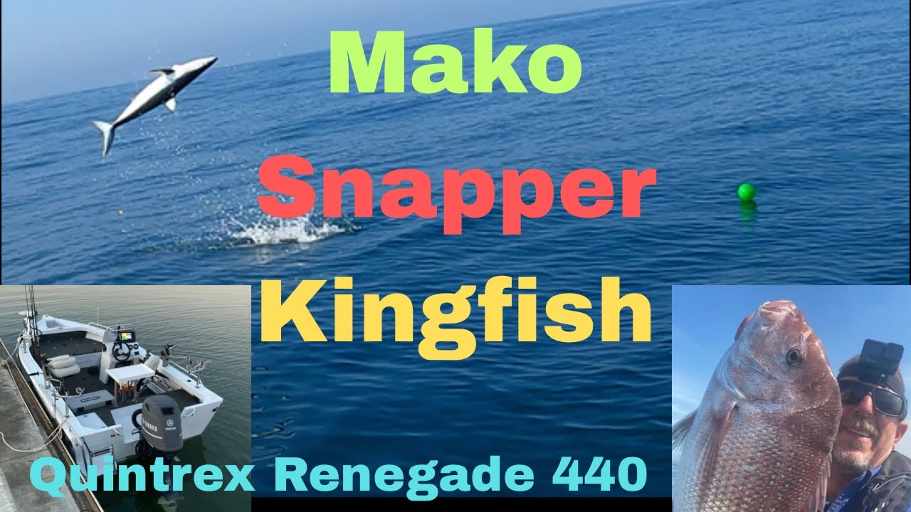 Mako, Snapper and Kingfish Fun Quintrex Renegade