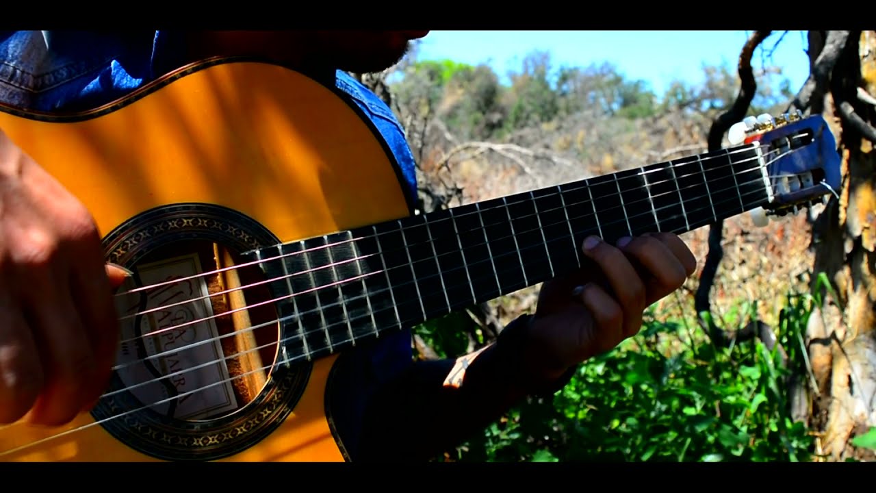 Al Estilo de Martin/ Camino a Tres Palmas ● Fabricio Gomez | Cover Guitarra
