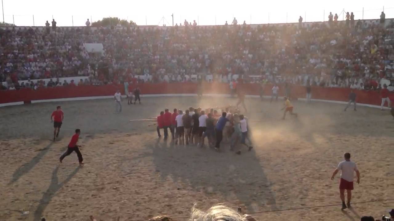 Capea (susto) Aldea Da Ponte 2013