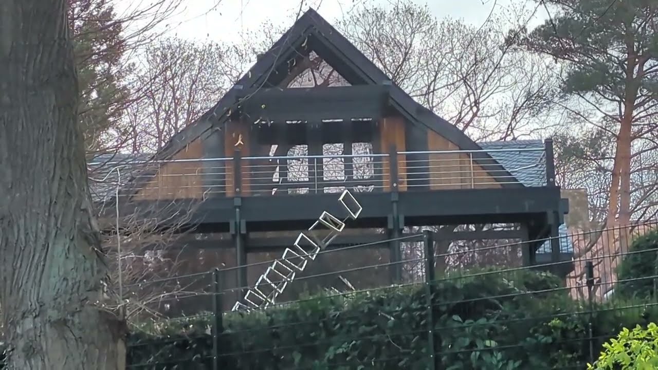 Unterwegs im Thielpark Berlin Dahlem (#Steglitz-#Zehlendorf)