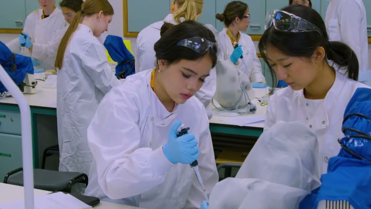 Study Medicine and Life Sciences at Imperial Global Summer School